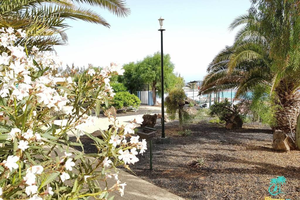 Appartement Bouganville rez-de-chaussée WIFI Costa De Antigua Exterior foto